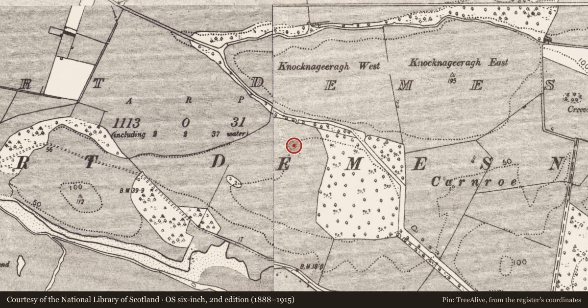 Ordnance Survey six-inch map, 2nd edition (1888–1915) covering the location of Ringfort - rath, Westport Demesne, County Mayo, with a pin at the register's coordinates