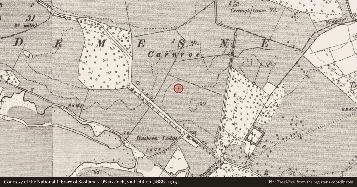 Ordnance Survey six-inch map, 2nd edition (1888–1915) covering the location of Enclosure, Westport Demesne, County Mayo, with a pin at the register's coordinates
