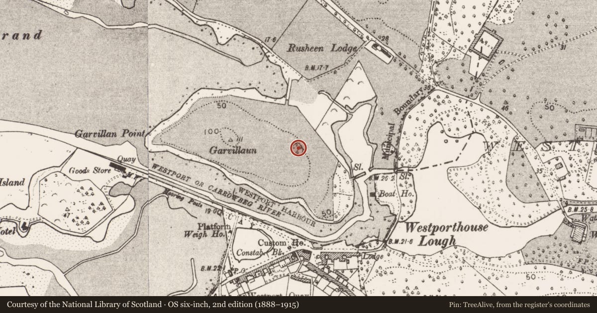 Ordnance Survey six-inch map, 2nd edition (1888–1915) covering the location of Enclosure, Westport Demesne, County Mayo, with a pin at the register's coordinates