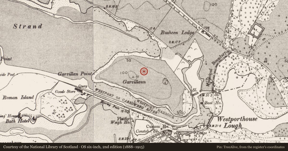 Ordnance Survey six-inch map, 2nd edition (1888–1915) covering the location of Enclosure, Westport Demesne, County Mayo, with a pin at the register's coordinates
