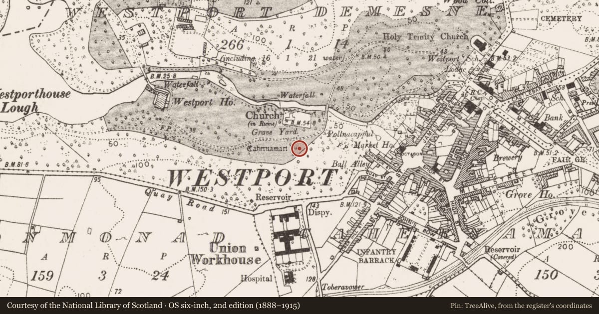 Ordnance Survey six-inch map, 2nd edition (1888–1915) covering the location of Enclosure, Westport Demesne, County Mayo, with a pin at the register's coordinates