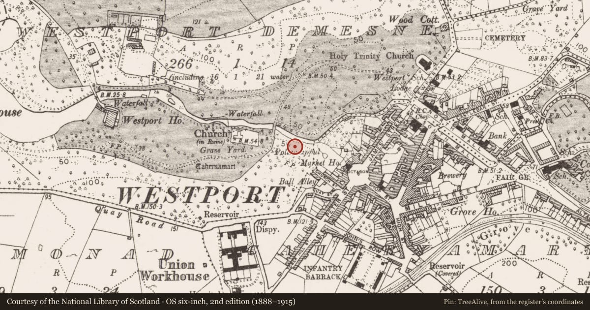 Ordnance Survey six-inch map, 2nd edition (1888–1915) covering the location of Enclosure, Westport Demesne, County Mayo, with a pin at the register's coordinates