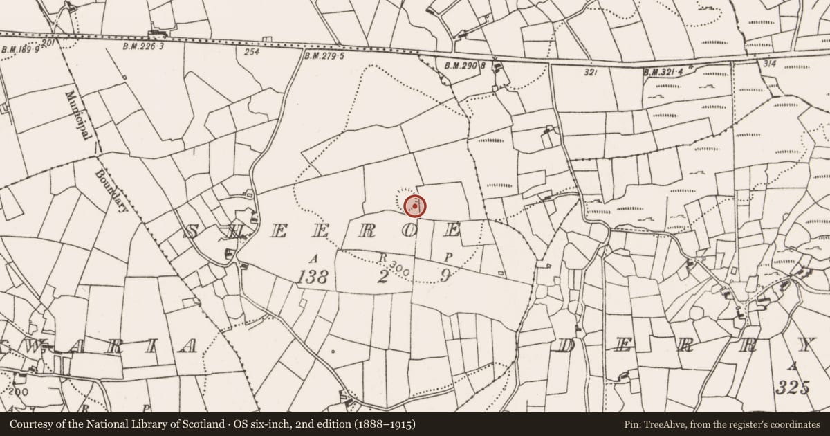 Ordnance Survey six-inch map, 2nd edition (1888–1915) covering the location of Ringfort - rath, Sheeroe, County Mayo, with a pin at the register's coordinates