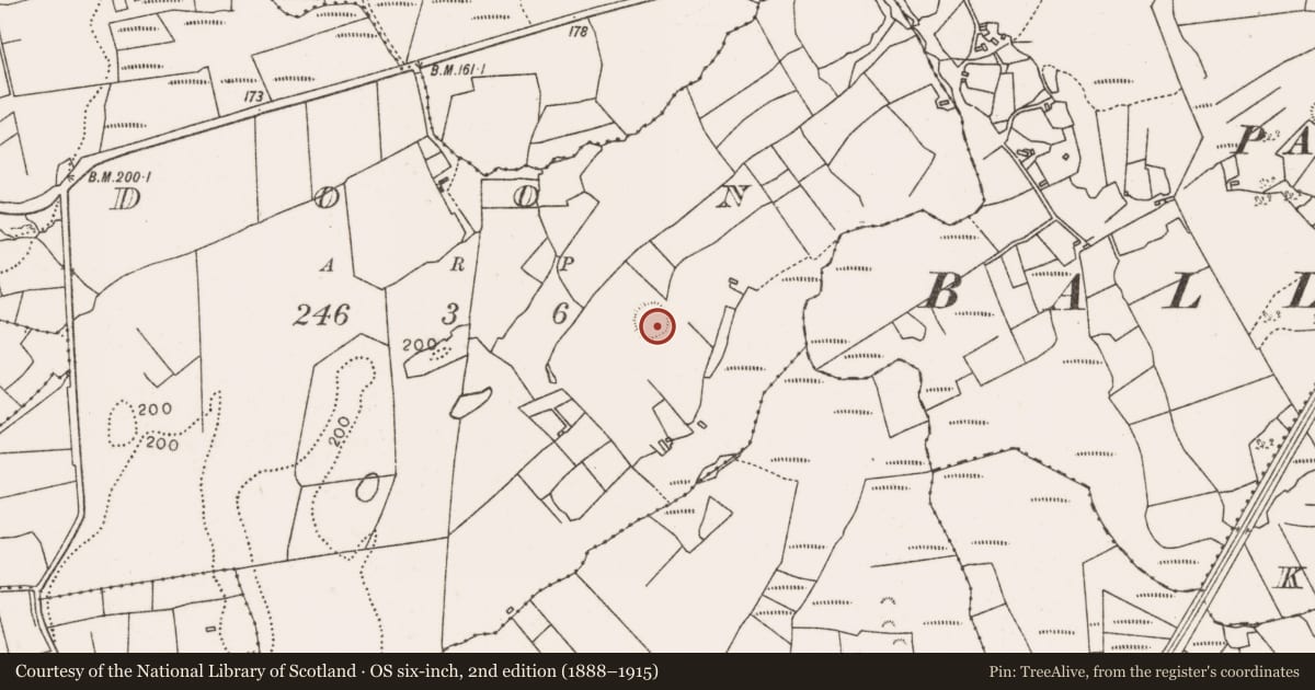 Ordnance Survey six-inch map, 2nd edition (1888–1915) covering the location of Ringfort - rath, Doon, County Mayo, with a pin at the register's coordinates