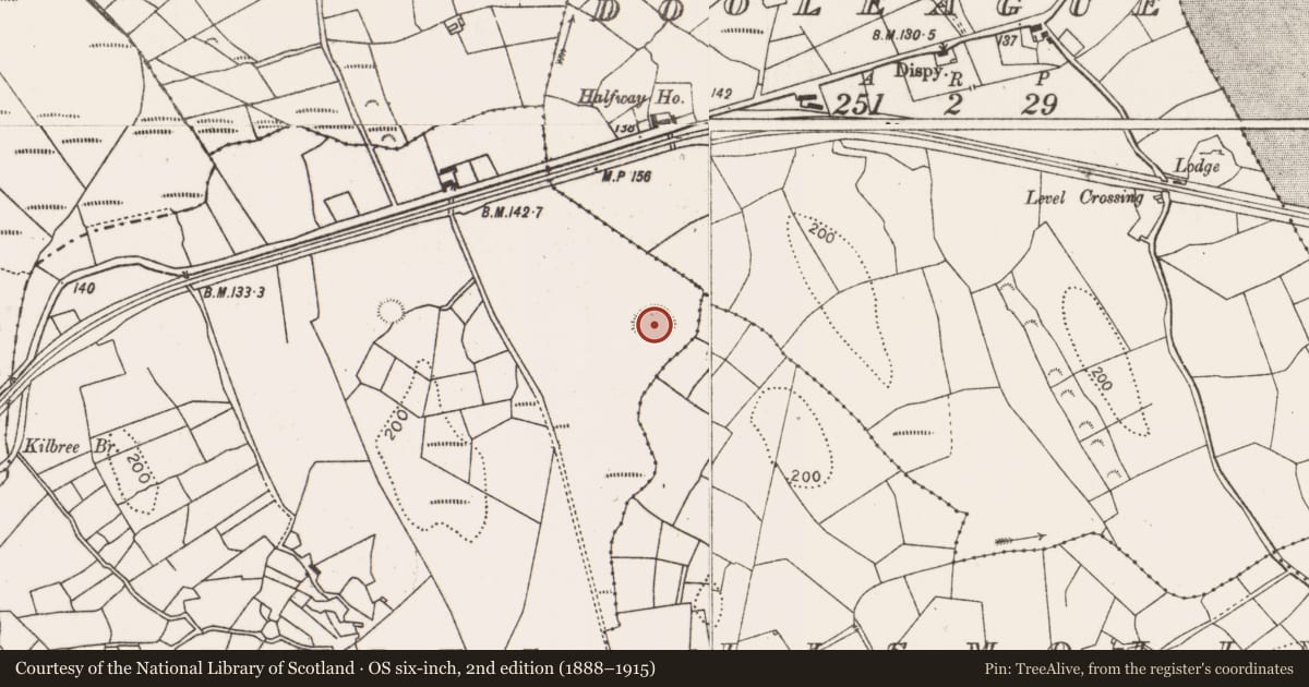 Ordnance Survey six-inch map, 2nd edition (1888–1915) covering the location of Ringfort - rath, Keeloges (Burrishoole By., Islandeady Par.), County Mayo, with a pin at the register's coordinates