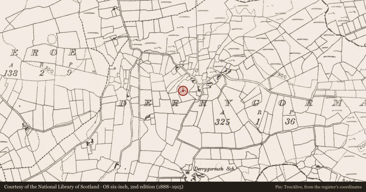 Ordnance Survey six-inch map, 2nd edition (1888–1915) covering the location of Enclosure, Derrygorman, County Mayo, with a pin at the register's coordinates
