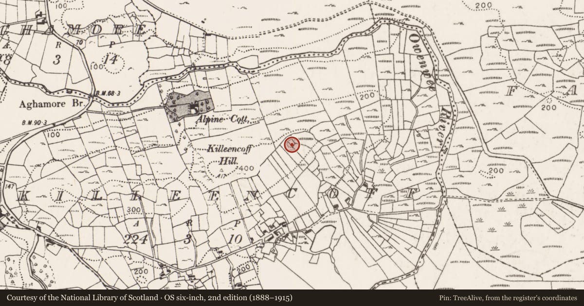 Ordnance Survey six-inch map, 2nd edition (1888–1915) covering the location of Enclosure, Killeencoff, County Mayo, with a pin at the register's coordinates