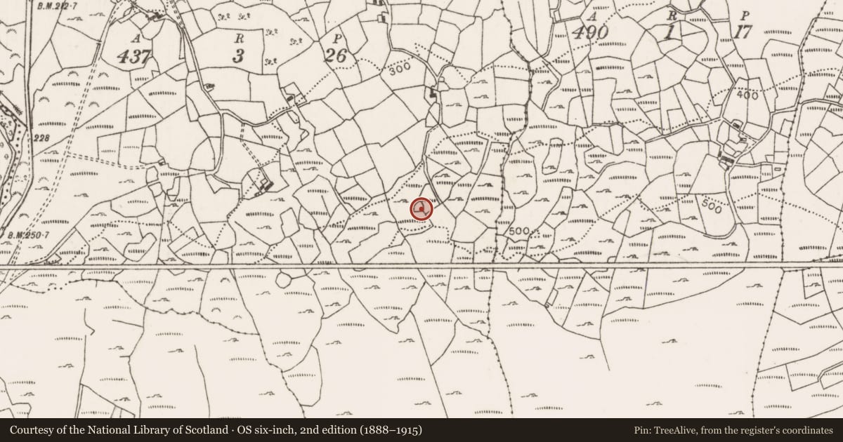 Ordnance Survey six-inch map, 2nd edition (1888–1915) covering the location of Ringfort - cashel, Knappagh More, County Mayo, with a pin at the register's coordinates