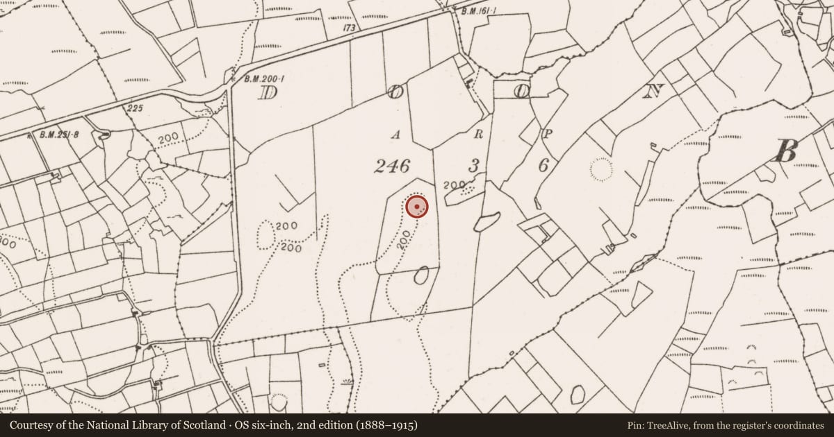 Ordnance Survey six-inch map, 2nd edition (1888–1915) covering the location of Enclosure, Doon, County Mayo, with a pin at the register's coordinates