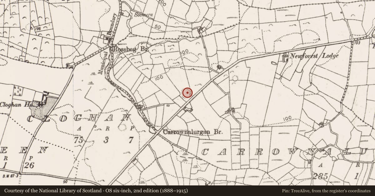 Ordnance Survey six-inch map, 2nd edition (1888–1915) covering the location of Ringfort - rath, Carrownalurgan, County Mayo, with a pin at the register's coordinates