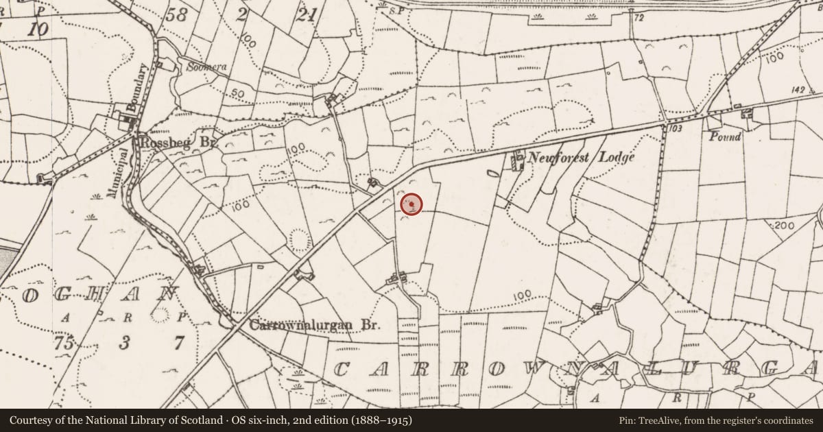 Ordnance Survey six-inch map, 2nd edition (1888–1915) covering the location of Enclosure, Carrownalurgan, County Mayo, with a pin at the register's coordinates