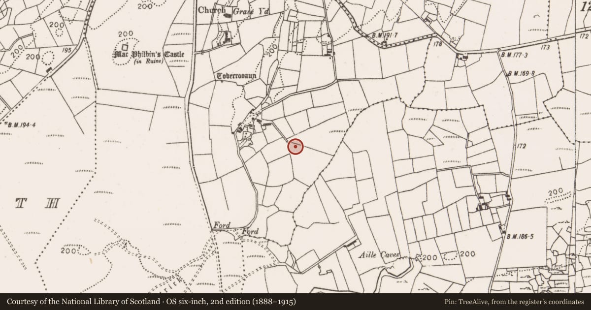 Ordnance Survey six-inch map, 2nd edition (1888–1915) covering the location of Barrow - ring-barrow, Toberrooaun, County Mayo, with a pin at the register's coordinates