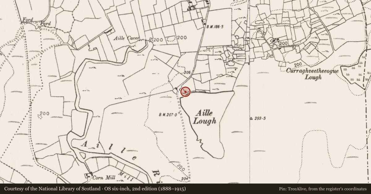 Ordnance Survey six-inch map, 2nd edition (1888–1915) covering the location of Burnt mound, Aille, County Mayo, with a pin at the register's coordinates