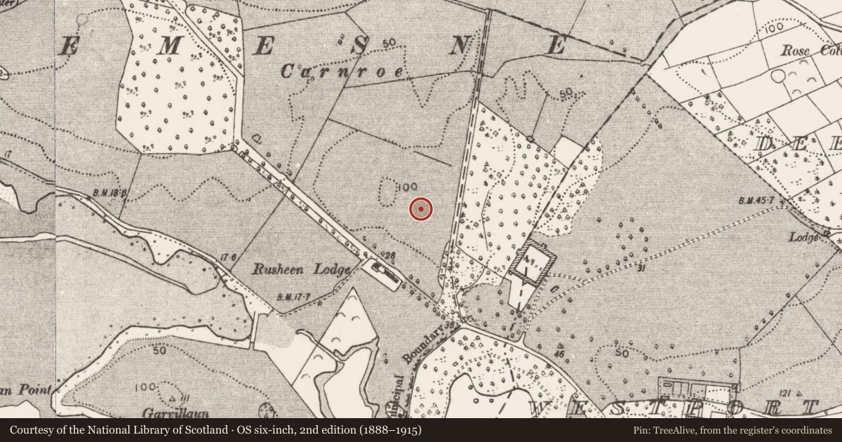 Ordnance Survey six-inch map, 2nd edition (1888–1915) covering the location of Mound, Westport Demesne, County Mayo, with a pin at the register's coordinates