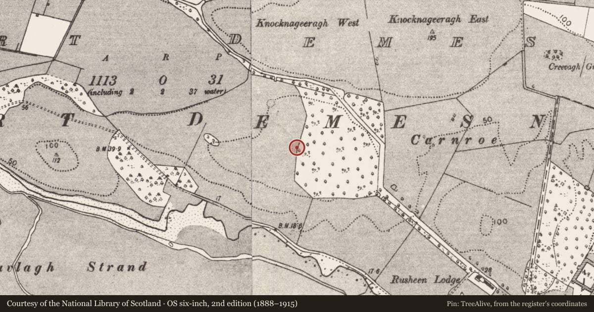Ordnance Survey six-inch map, 2nd edition (1888–1915) covering the location of Barrow - unclassified, Westport Demesne, County Mayo, with a pin at the register's coordinates