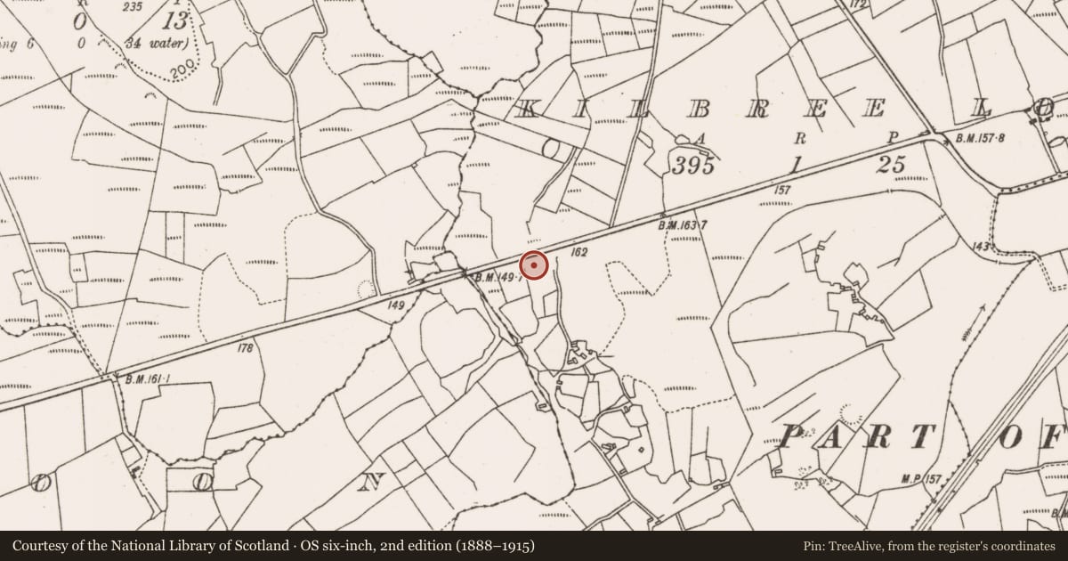 Ordnance Survey six-inch map, 2nd edition (1888–1915) covering the location of Bullaun stone, Kilbree Lower, County Mayo, with a pin at the register's coordinates