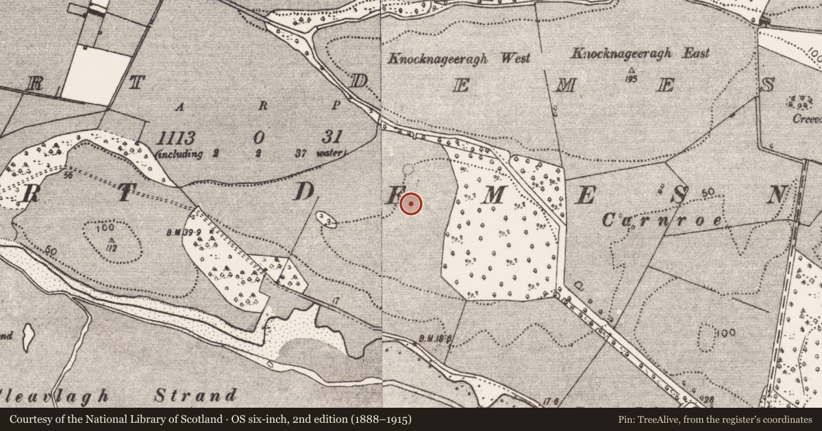 Ordnance Survey six-inch map, 2nd edition (1888–1915) covering the location of Enclosure, Westport Demesne, County Mayo, with a pin at the register's coordinates
