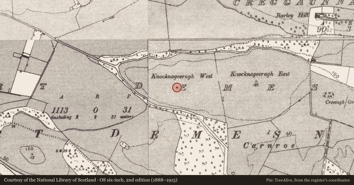 Ordnance Survey six-inch map, 2nd edition (1888–1915) covering the location of Enclosure, Westport Demesne, County Mayo, with a pin at the register's coordinates