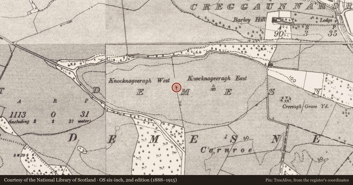Ordnance Survey six-inch map, 2nd edition (1888–1915) covering the location of Enclosure, Westport Demesne, County Mayo, with a pin at the register's coordinates