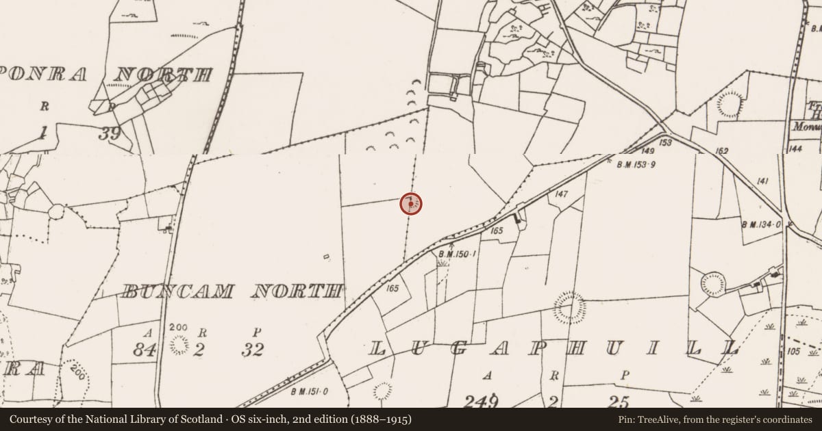 Ordnance Survey six-inch map, 2nd edition (1888–1915) covering the location of Enclosure, Buncam North, Cornamarrow, County Mayo, with a pin at the register's coordinates