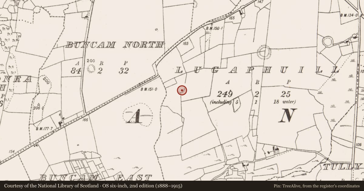 Ordnance Survey six-inch map, 2nd edition (1888–1915) covering the location of Ringfort - rath, Lugaphuill (Carra By., Ballyhean Par.), County Mayo, with a pin at the register's coordinates