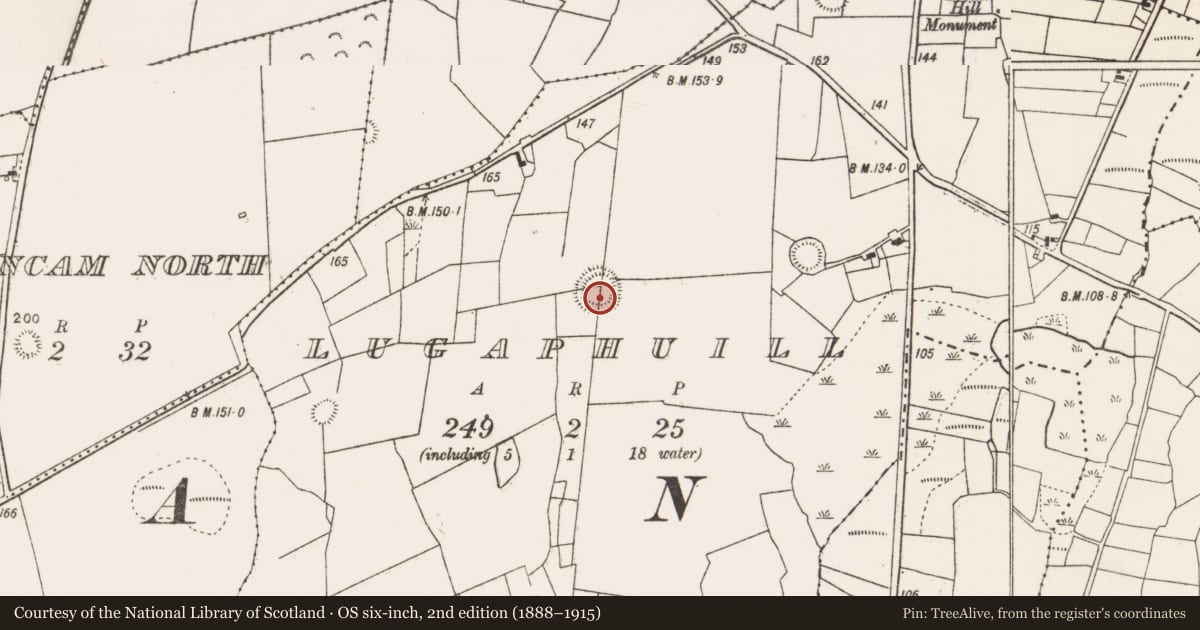 Ordnance Survey six-inch map, 2nd edition (1888–1915) covering the location of Souterrain, Lugaphuill (Carra By., Ballyhean Par.), County Mayo, with a pin at the register's coordinates