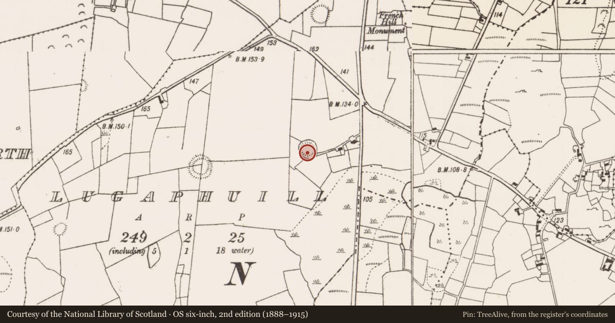 Ordnance Survey six-inch map, 2nd edition (1888–1915) covering the location of Ringfort - rath, Lugaphuill (Carra By., Ballyhean Par.), County Mayo, with a pin at the register's coordinates
