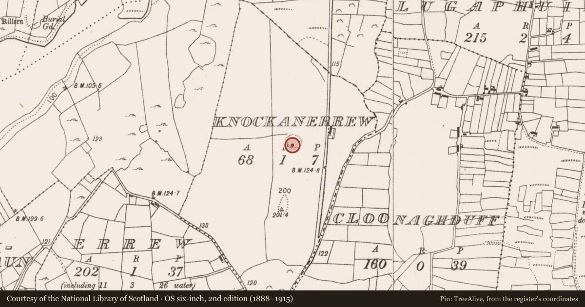 Ordnance Survey six-inch map, 2nd edition (1888–1915) covering the location of Ringfort - rath, Knockanerrew, County Mayo, with a pin at the register's coordinates