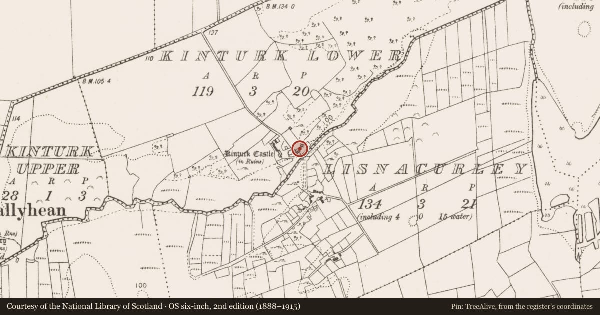 Ordnance Survey six-inch map, 2nd edition (1888–1915) covering the location of Castle - unclassified, Kinturk Lower, County Mayo, with a pin at the register's coordinates
