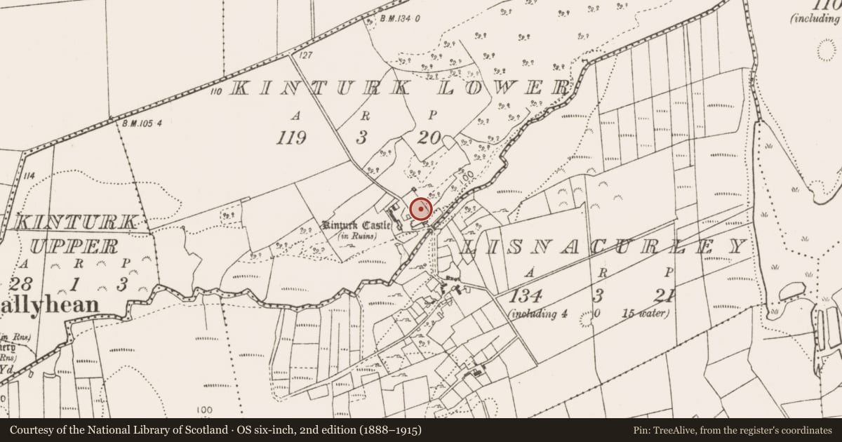 Ordnance Survey six-inch map, 2nd edition (1888–1915) covering the location of Bawn, Kinturk Lower, County Mayo, with a pin at the register's coordinates