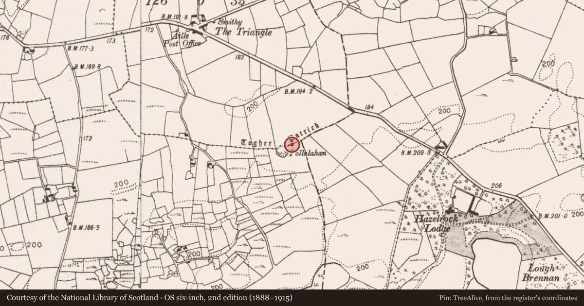 Ordnance Survey six-inch map, 2nd edition (1888–1915) covering the location of Road - road/trackway, County Mayo, with a pin at the register's coordinates