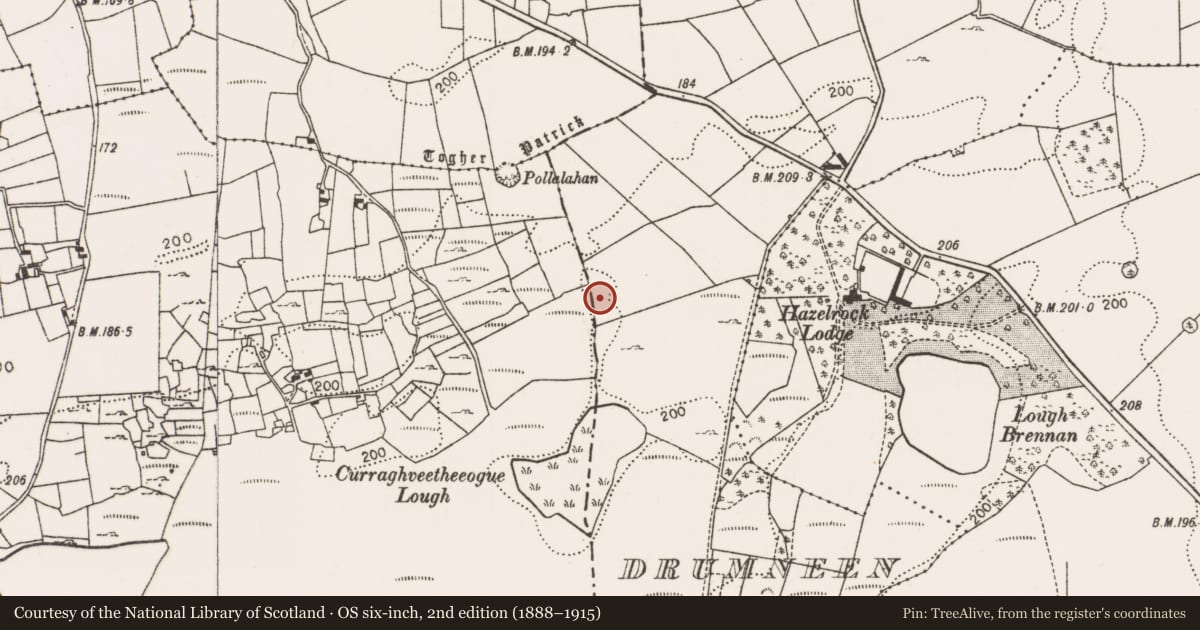 Ordnance Survey six-inch map, 2nd edition (1888–1915) covering the location of Ritual site - holy well, Drumneen (Carra By., Ballintober Par.), County Mayo, with a pin at the register's coordinates