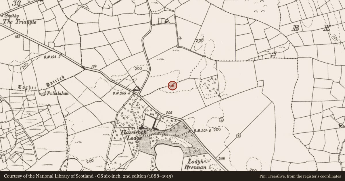 Ordnance Survey six-inch map, 2nd edition (1888–1915) covering the location of Enclosure, Drumneen (Carra By., Ballintober Par.), County Mayo, with a pin at the register's coordinates