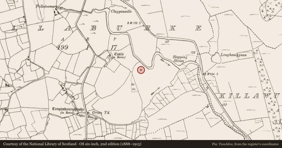 Ordnance Survey six-inch map, 2nd edition (1888–1915) covering the location of Enclosure, Bellaburke, County Mayo, with a pin at the register's coordinates