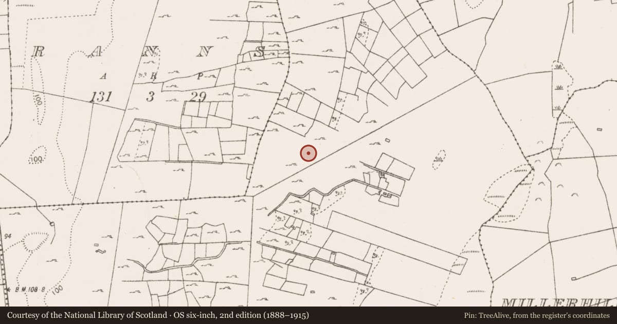 Ordnance Survey six-inch map, 2nd edition (1888–1915) covering the location of Enclosure, Ranns, County Mayo, with a pin at the register's coordinates
