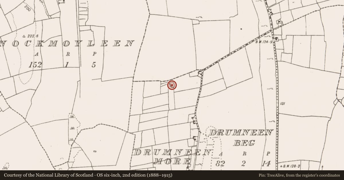Ordnance Survey six-inch map, 2nd edition (1888–1915) covering the location of Enclosure, Drumneen More, County Mayo, with a pin at the register's coordinates