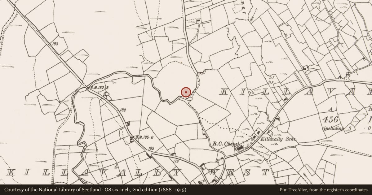 Ordnance Survey six-inch map, 2nd edition (1888–1915) covering the location of Enclosure, Killavally West, County Mayo, with a pin at the register's coordinates