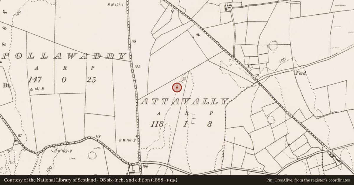 Ordnance Survey six-inch map, 2nd edition (1888–1915) covering the location of Fulacht fia, Attavally, County Mayo, with a pin at the register's coordinates