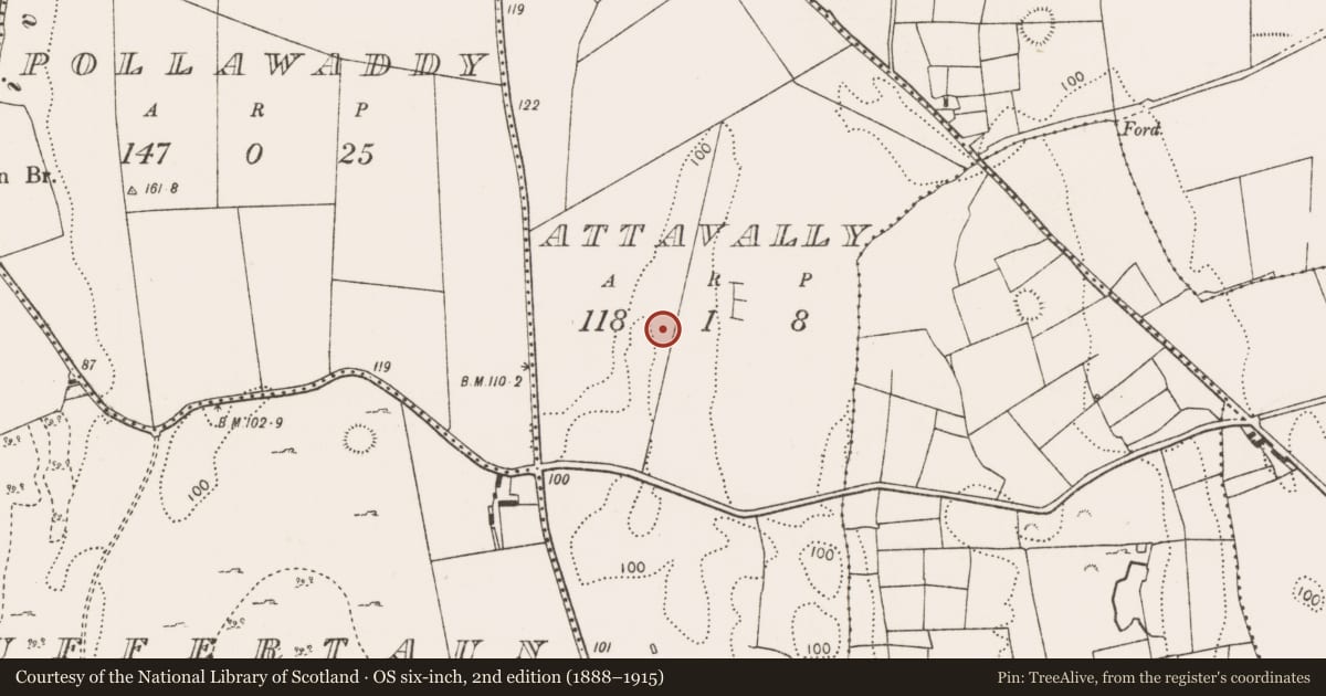 Ordnance Survey six-inch map, 2nd edition (1888–1915) covering the location of Fulacht fia, Attavally, County Mayo, with a pin at the register's coordinates