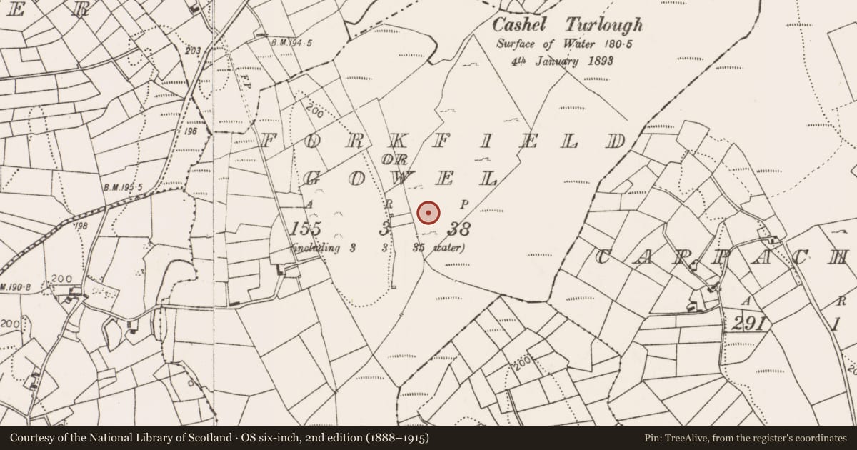 Ordnance Survey six-inch map, 2nd edition (1888–1915) covering the location of Ringfort - cashel, Forkfield Or Gowel, County Mayo, with a pin at the register's coordinates