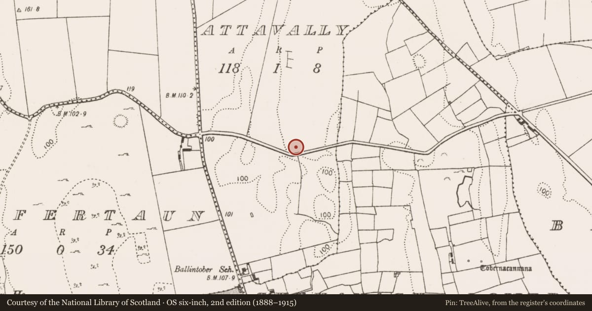 Ordnance Survey six-inch map, 2nd edition (1888–1915) covering the location of Earthwork, Attavally, County Mayo, with a pin at the register's coordinates