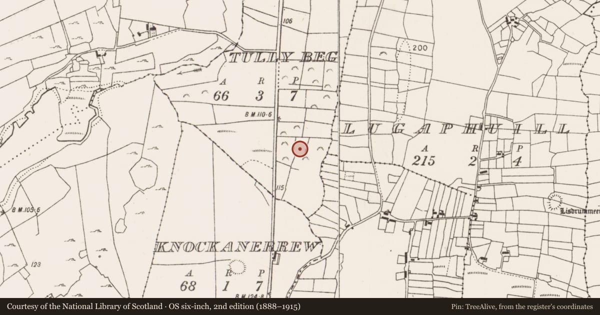 Ordnance Survey six-inch map, 2nd edition (1888–1915) covering the location of Enclosure, Tully Beg, County Mayo, with a pin at the register's coordinates