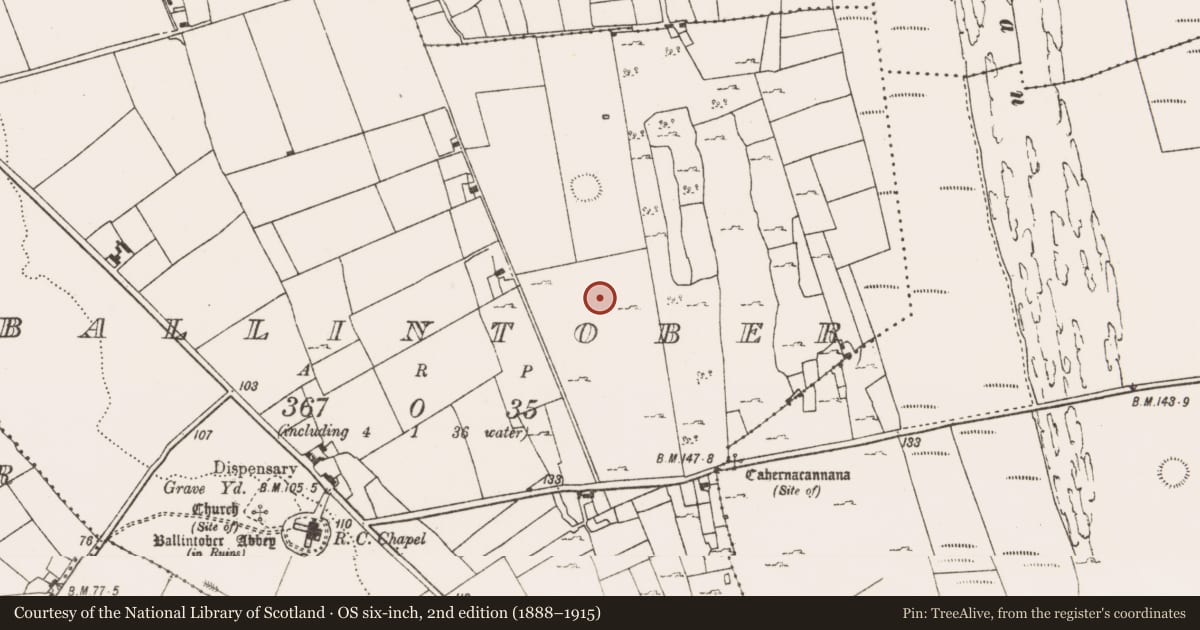 Ordnance Survey six-inch map, 2nd edition (1888–1915) covering the location of Earthwork, Ballintober, County Mayo, with a pin at the register's coordinates
