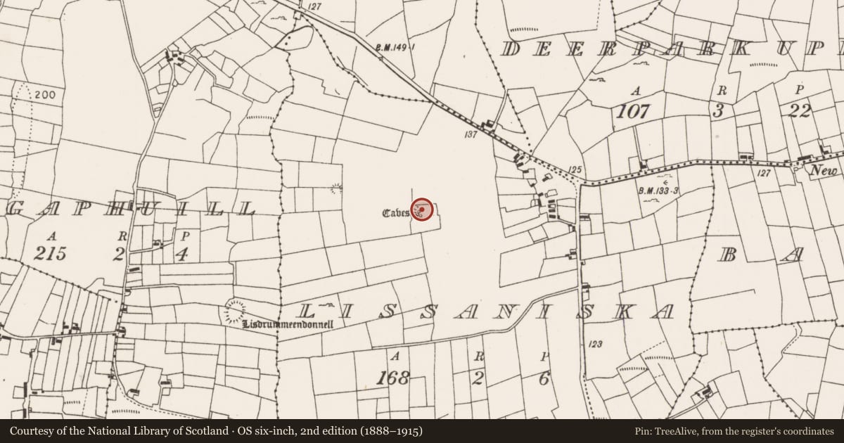 Ordnance Survey six-inch map, 2nd edition (1888–1915) covering the location of Ringfort - rath, Lissaniska (Carra By., Drum Par.), County Mayo, with a pin at the register's coordinates