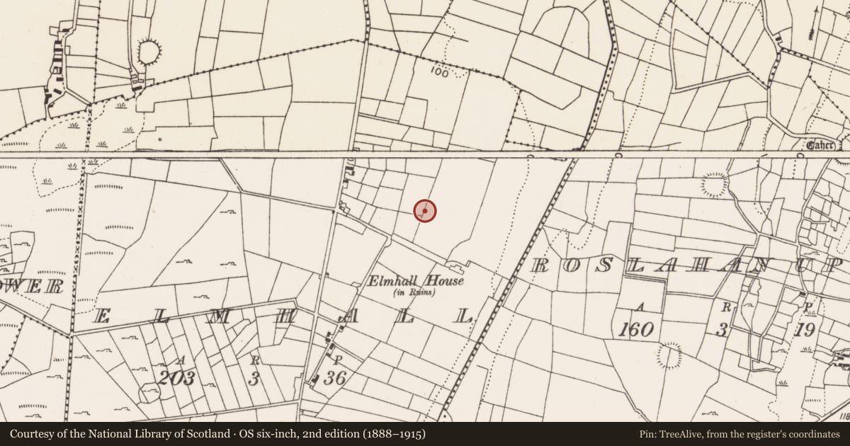 Ordnance Survey six-inch map, 2nd edition (1888–1915) covering the location of Souterrain, Elmhall, County Mayo, with a pin at the register's coordinates