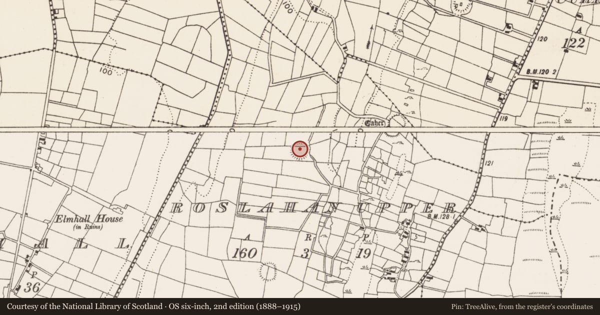 Ordnance Survey six-inch map, 2nd edition (1888–1915) covering the location of Ringfort - rath, Roslahan Upper, County Mayo, with a pin at the register's coordinates