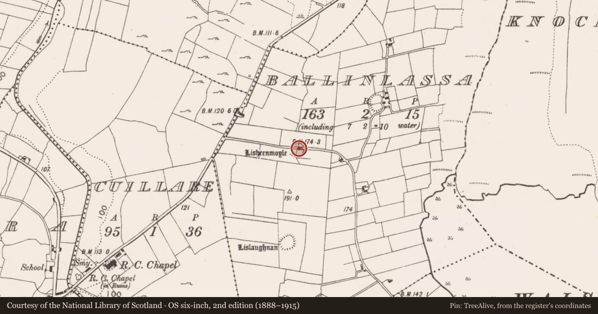 Ordnance Survey six-inch map, 2nd edition (1888–1915) covering the location of Souterrain, Ballinlassa, County Mayo, with a pin at the register's coordinates