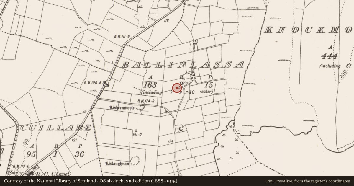 Ordnance Survey six-inch map, 2nd edition (1888–1915) covering the location of Enclosure, Ballinlassa, County Mayo, with a pin at the register's coordinates