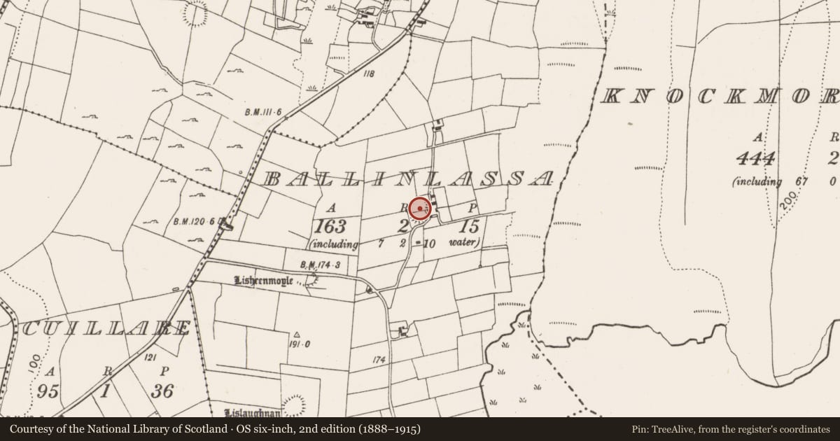 Ordnance Survey six-inch map, 2nd edition (1888–1915) covering the location of Ringfort - rath, Ballinlassa, County Mayo, with a pin at the register's coordinates