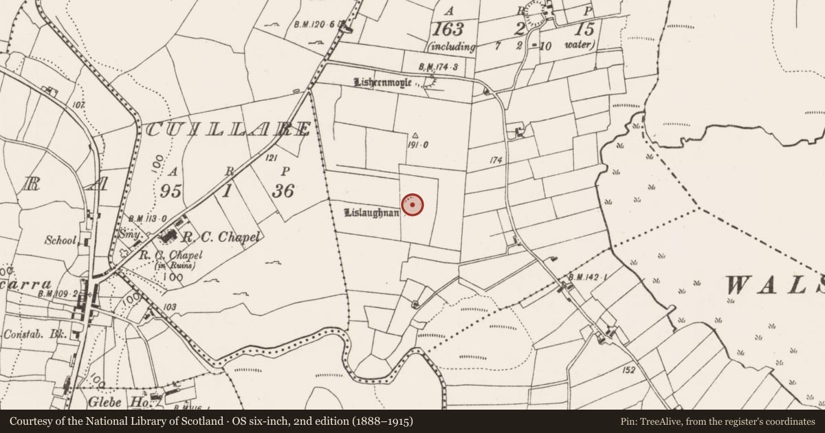 Ordnance Survey six-inch map, 2nd edition (1888–1915) covering the location of Souterrain, Ballinlassa, County Mayo, with a pin at the register's coordinates
